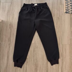 Aritzia Pants